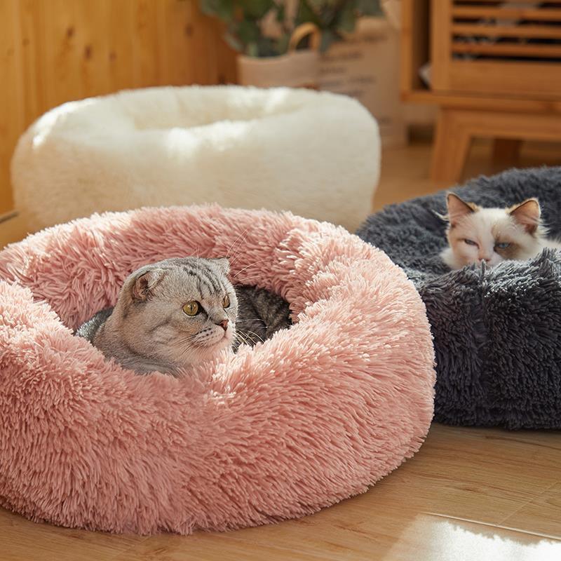 Cama Confortável para Cães e Gatos - My Store