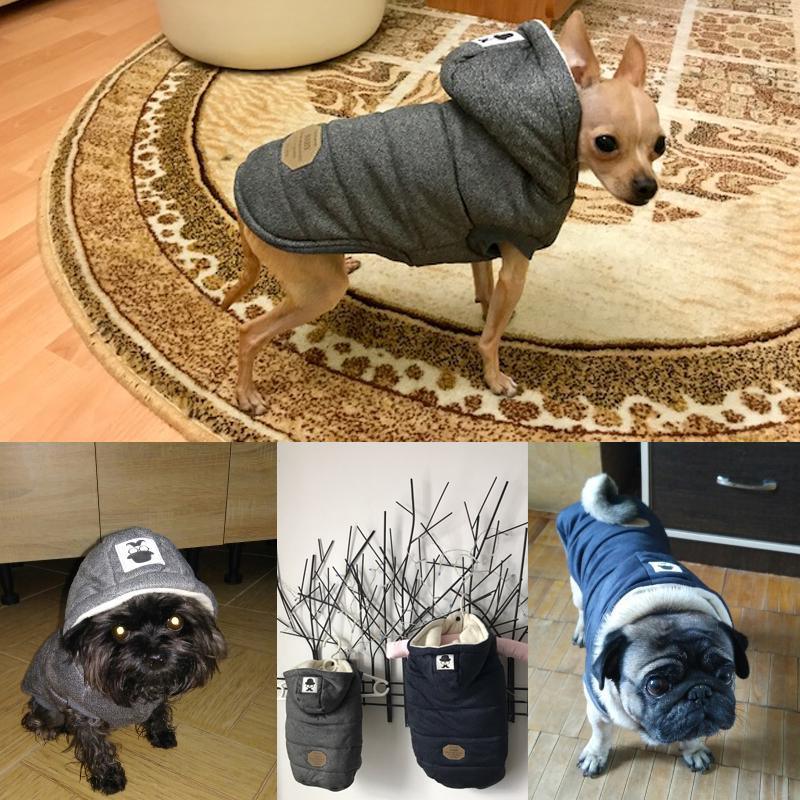 Colete de Inverno para Cachorros | Gentleman - My Store