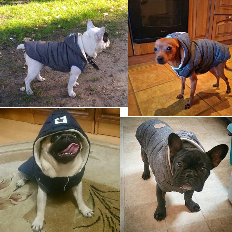 Colete de Inverno para Cachorros | Gentleman - My Store